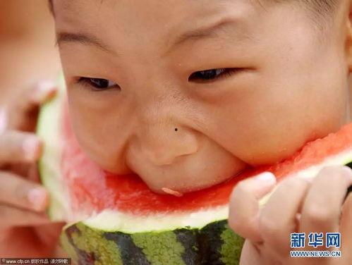 吃瓜比赛表情包动态