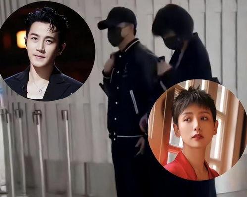 娱乐圈吃瓜小说一口气看完,一网打尽,揭秘明星背后的秘密